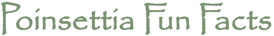 Poinsettia Fun Facts