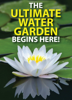 The Ultimate Water Garden Starts Here