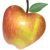 Fuji Apple