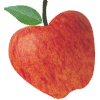 Gala Apple