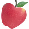 Pink Lady Appkle