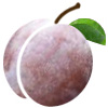 Italian Plum